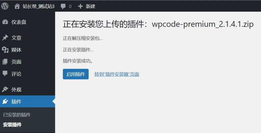 安装启用 WPCode Pro 插件