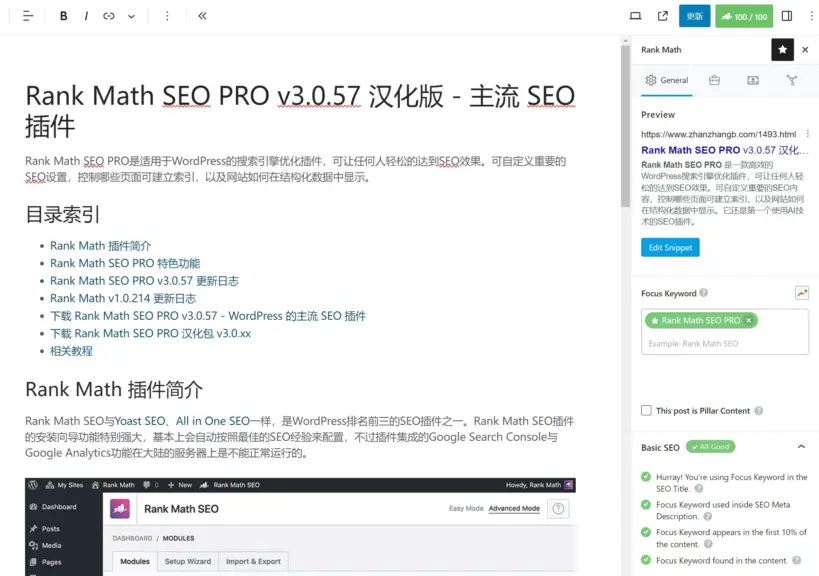 Rank Math SEO PRO 内容分析示例