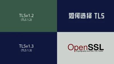 对于网站而言，如何选择 TLS 协议版本