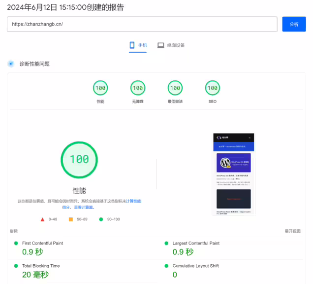 PageSpeed Insights 测试满分