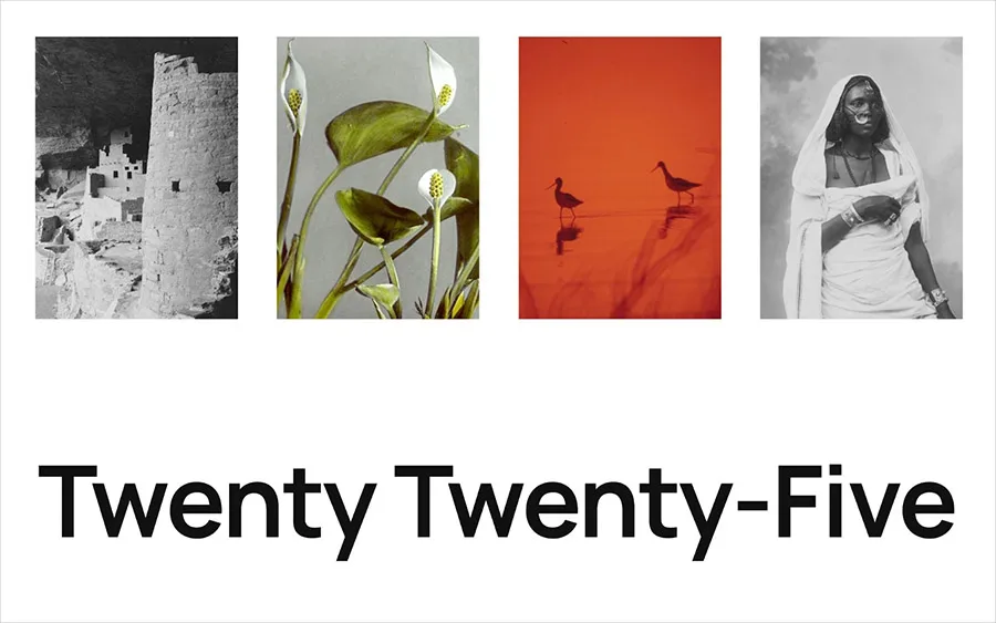 全新的 Twenty Twenty-F​​ive 主题